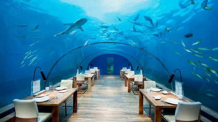 conrad hotel maldivler