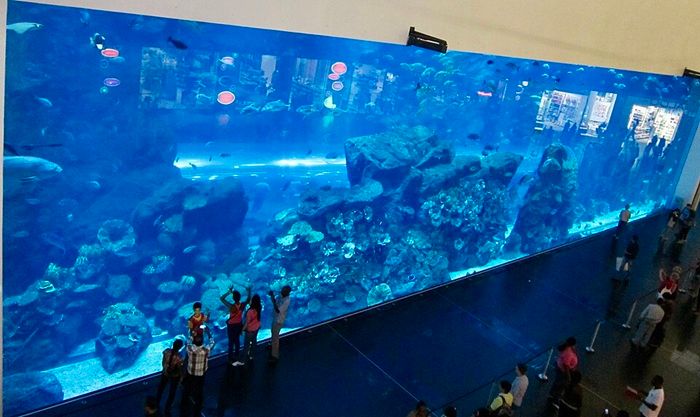 Dubai Mall Akvaryum ve Sualtı Hayvanat Bahçesi dev akvaryum camları