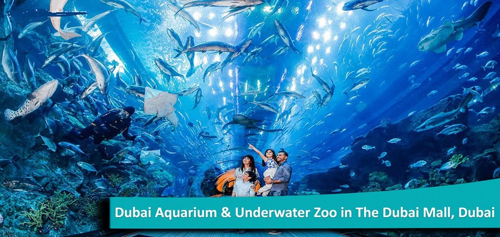 Dubai'de hızlı giriş bileti, online satış ve rezervasyon, Miracle Garden, Dubai Frame, Dubai Akvaryum, Ski Dubai, Aquaventure Waterpark, Burç Halife