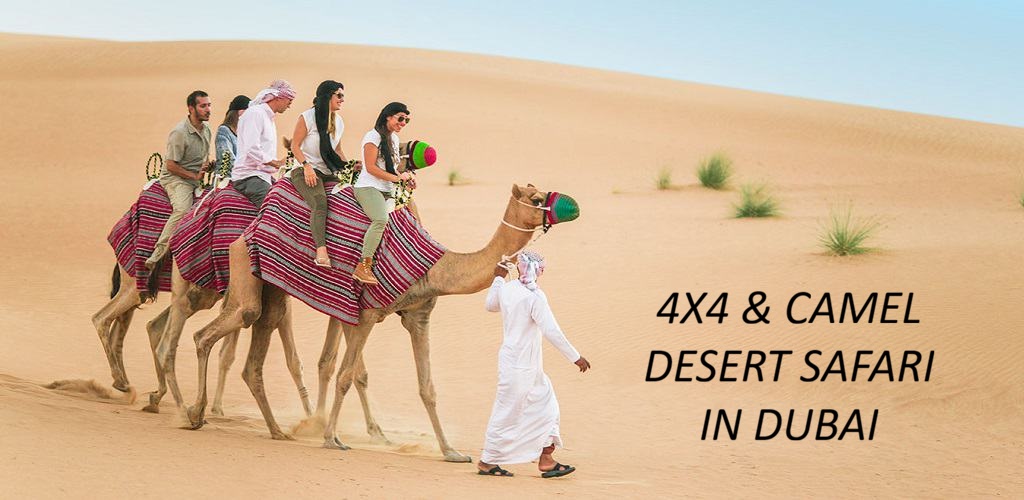 Dubai çöl safarisi sırasında gün batımında geleneksel deve turu deneyimi