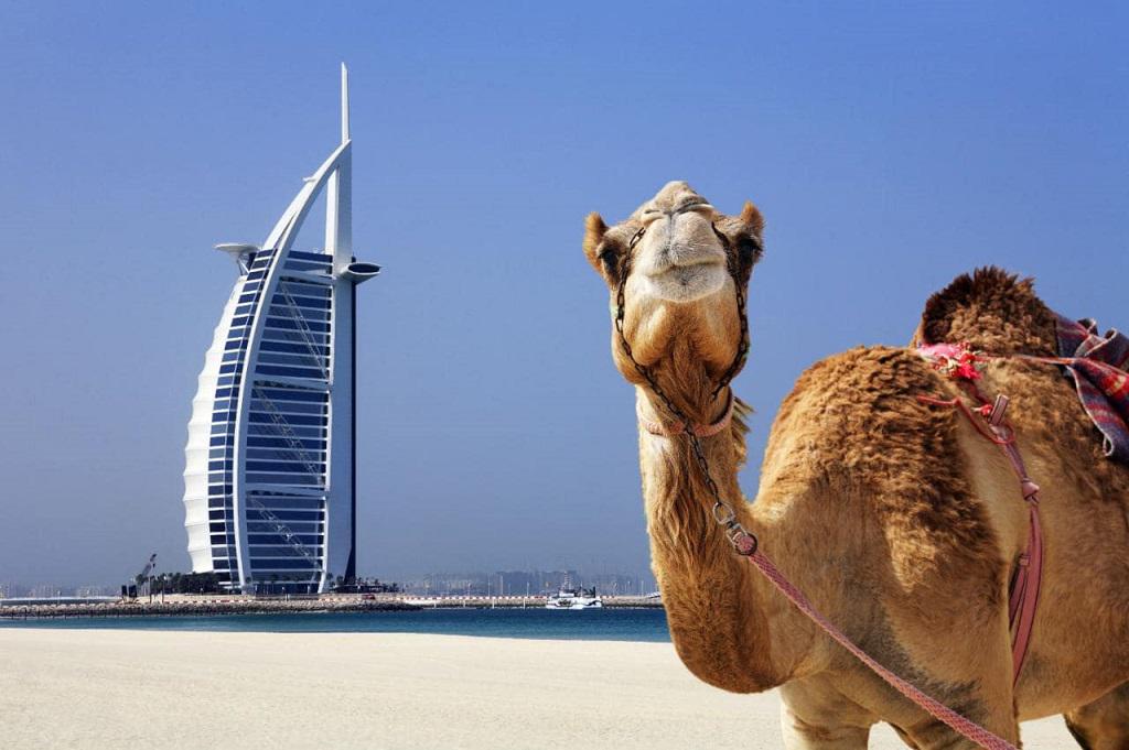 7 mejores hoteles de playa en Dubái
