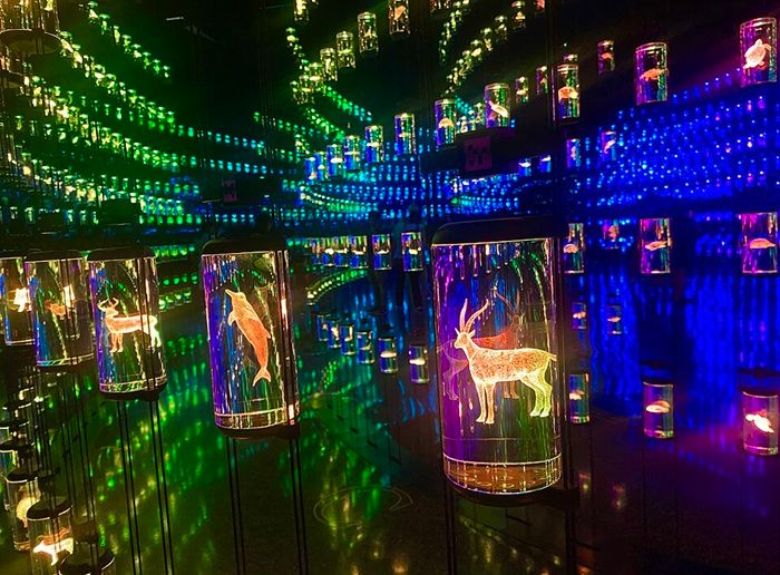 Dubai Gelecek Müzesi'nin içinden bir görünüm